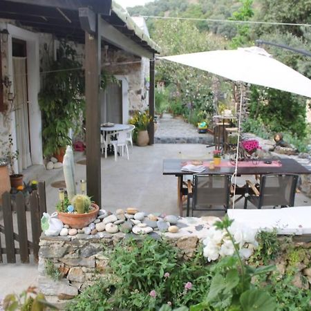 Olga'S Traditional Stone House, Palaiochora Kondokinigi Exteriér fotografie