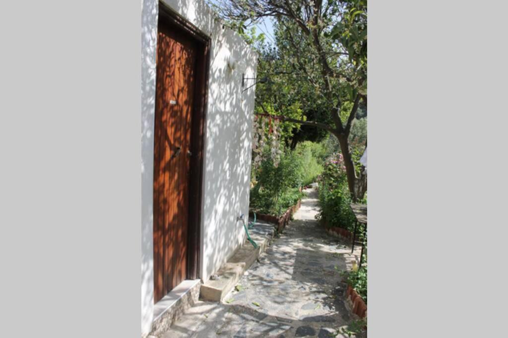 Olga'S Traditional Stone House, Palaiochora Kondokinigi Exteriér fotografie