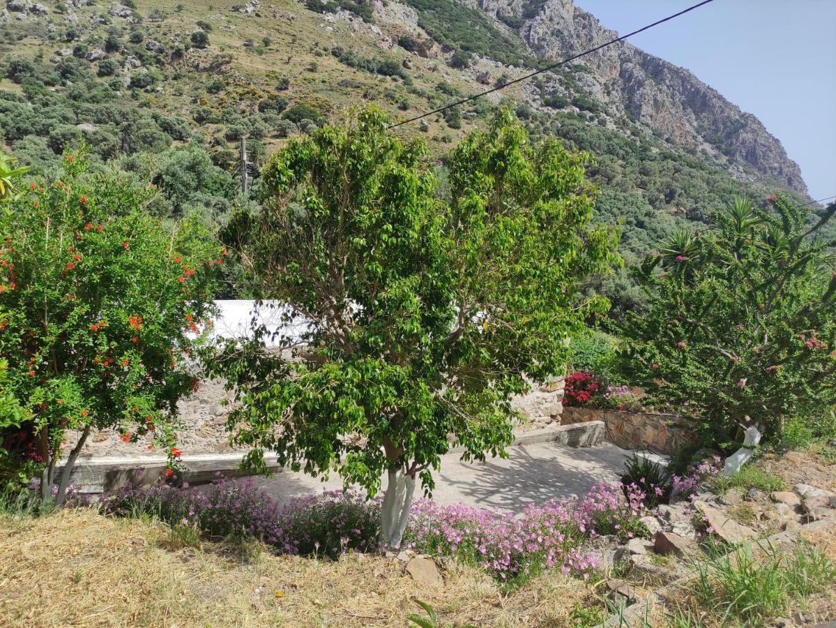 Olga'S Traditional Stone House, Palaiochora Kondokinigi Exteriér fotografie